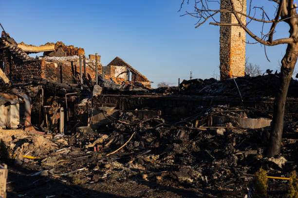 Reliable Fire Damage Repair contractor in Winsted, MN by Fire Damage Flint